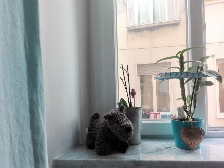 Joyfull Home In The Historical Center Naples Extérieur photo